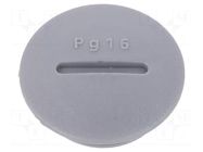 Stopper; PG16; polyamide; dark grey; Thread: PG; 6mm; 10pcs. ALPHA WIRE