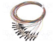 Optic fiber pigtail; OM2; ST/UPC; 2m; Optical fiber: 50/125um LAPP