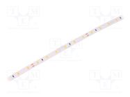 LED tape; white warm; 2835; LED/m: 60; 8mm; IP20; 120°; 4.8W/m; 24VDC LEDDEX