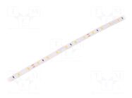 LED tape; white warm; 2835; LED/m: 60; 8mm; IP20; 120°; 4.8W/m; 24VDC LEDDEX
