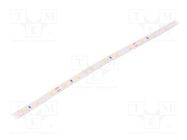 LED tape; white warm; 2835; 24V; LED/m: 60; 8mm; IP20; 120°; 4W/m LEDDEX