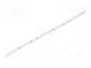 LED tape; white cold; 2835; LED/m: 60; 8mm; IP20; 120°; 4W/m; Thk: 2mm LEDDEX