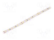 LED tape; white neutral; 2835; 24V; LED/m: 96; 8mm; IP20; 120°; 8W/m LEDDEX