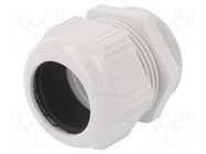 Cable gland; M50; 1.5; polyamide; light grey LAPP