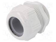 Cable gland; M50; 1.5; IP68,IP69K; polyamide; light grey; SKINTOP® LAPP