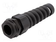 Cable gland; with strain relief; NPT1/2"; IP66,IP68; polyamide 