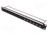 Connector: fiber optic; patch panel; ST; rack; screw; Standard: 19" CLIFF