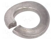 Washer; wave,spring; M3; D=6.2mm; h=0.8mm; DIN 128A; BN 8856 BOSSARD