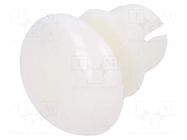Rivet; polyamide; L.rivet: 4.5mm; white; dismountable,push-in DREMEC