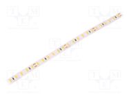 LED tape; white warm; 2835; 24V; LED/m: 120; 8mm; IP20; 120°; 9.6W/m LEDDEX