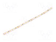 LED tape; white warm; 2835; LED/m: 120; 8mm; IP20; 120°; 9.6W/m LEDDEX