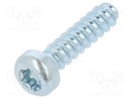 Screw; for plastic; 3x12; Head: cheese head; Torx® PLUS; 10IP; zinc BOSSARD