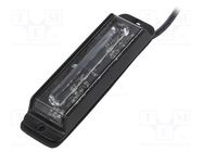 Lamp: stroboscope; 30W; -30÷60°C; IP67; Light source: LED x6 ELTA