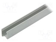 Profiles for LED modules; natural; L: 1m; LINEA20; aluminium 