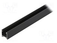 Profiles for LED modules; black; L: 1m; LINEA20; aluminium TOPMET