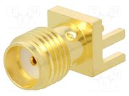 Connector: SMA; plug; female; card edge; straight; 50Ω; SMT; PTFE AMPHENOL RF