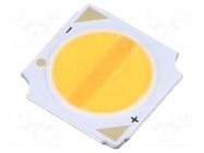 Power LED; white warm; COB,bicolour; 2000-3000K; 133lm,1210lm ProLight Opto