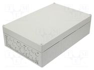 Enclosure: junction box; X: 300mm; Y: 450mm; Z: 132mm; polystyrene SPELSBERG