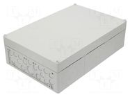 Enclosure: junction box; X: 300mm; Y: 450mm; Z: 132mm; polystyrene SPELSBERG