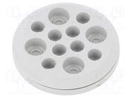 Multigate grommet; light grey; Holes no: 12; -40÷100°C; IP54 TRELLEBORG