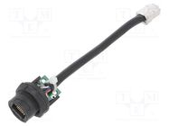 Adapter cable; 0.1m; PIN: 8; Cat: 5e; plastic; Layout: 8p8c; IP67 AMPHENOL LTW