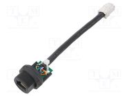 Adapter cable; 0.1m; PIN: 8; Cat: 5e; plastic; Layout: 8p8c; IP67 AMPHENOL LTW