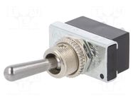 Switch: toggle; Pos: 2; SPST; ON-OFF; 6A/250VAC; Leads: connectors SCI
