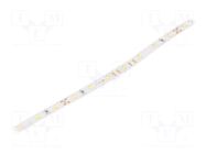 LED tape; white cold; 3030; LED/m: 56; 10mm; IP20; 120°; 24.4W/m TRON
