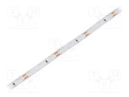 LED tape; white neutral; 315; LED/m: 60; 8mm; IP20; 4.8W/m; 12VDC WISVA OPTOELECTRONICS