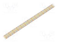 LED tape; white neutral; 2835; 12V; LED/m: 240; 12mm; white PCB WISVA OPTOELECTRONICS