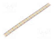 LED tape; white neutral; 2835; LED/m: 240; 12mm; white PCB; IP20 WISVA OPTOELECTRONICS