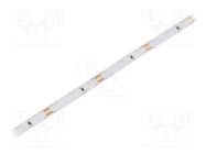 LED tape; white cold; 335; 12V; LED/m: 60; 8mm; IP20; 4.8W/m; angular WISVA OPTOELECTRONICS