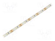 LED tape; white cold; 2835; LED/m: 96; 8mm; white PCB; IP65; 15W/m WISVA OPTOELECTRONICS