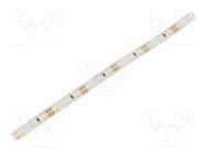 LED tape; white cold; 2835; LED/m: 96; 8mm; white PCB; IP20; 15W/m WISVA OPTOELECTRONICS