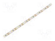 LED tape; white cold; 2835; 12V; LED/m: 120; 8mm; white PCB; IP20 WISVA OPTOELECTRONICS