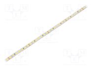 LED tape; white cold; 2835; LED/m: 168; 5mm; white PCB; IP65; 8W/m WISVA OPTOELECTRONICS