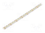 LED tape; white cold; 3528; 24V; LED/m: 240; 10mm; white PCB; IP20 WISVA OPTOELECTRONICS