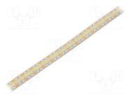 LED tape; white cold; 2835; LED/m: 240; 12mm; white PCB; IP65; 25W/m WISVA OPTOELECTRONICS