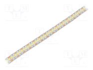 LED tape; white cold; 2835; LED/m: 240; 12mm; white PCB; IP20; 25W/m WISVA OPTOELECTRONICS