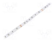 LED tape; RGB; 3535; LED/m: 30; 10mm; white PCB; IP20; 6W/m; 12VDC WISVA OPTOELECTRONICS