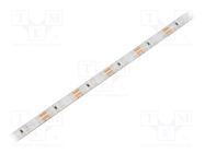 LED tape; yellow; 2835; LED/m: 96; 8mm; white PCB; IP65; 15W/m; 12VDC WISVA OPTOELECTRONICS