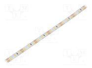 LED tape; white warm; 2835; LED/m: 96; 8mm; white PCB; IP65; 15W/m WISVA OPTOELECTRONICS