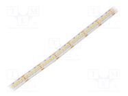 LED tape; white warm; 3528; LED/m: 240; 10mm; white PCB; IP65; 16W/m WISVA OPTOELECTRONICS