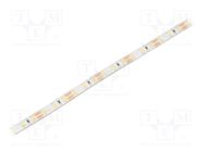 LED tape; white neutral; 2835; LED/m: 96; 8mm; white PCB; IP65 WISVA OPTOELECTRONICS