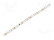 LED tape; white neutral; 2835; LED/m: 96; 8mm; white PCB; IP20 WISVA OPTOELECTRONICS