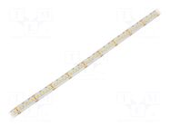 LED tape; white neutral; 3528; LED/m: 240; 10mm; white PCB; IP65 WISVA OPTOELECTRONICS