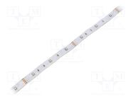 LED tape; RGB; 3535; LED/m: 30; 10mm; white PCB; IP65; 6W/m; 12VDC WISVA OPTOELECTRONICS