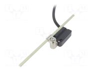 Limit switch; glass fiber rod Ø6x200mm R 19-189mm; NO + NC; 10A PIZZATO ELETTRICA