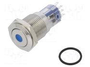 Switch: vandal resistant; DPDT; 3A/250VAC; IP67; ON-(ON); blue BULGIN
