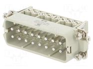Connector: HDC; contact insert; male; HA; PIN: 16; 16A; 250V; 16+PE TE Connectivity